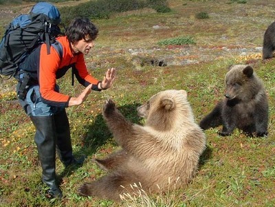 Правила поведения людей при встрече с медведем